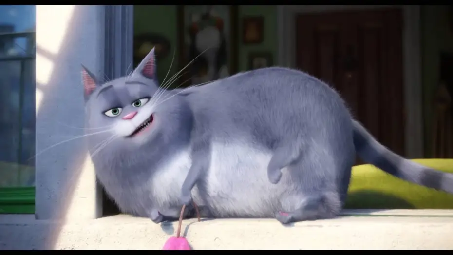 Watch film The Secret Life of Pets | Comme des b&ecirc;tes / "Les amoureux des chiens" VF [Au cin&eacute;ma le 27 Juillet]