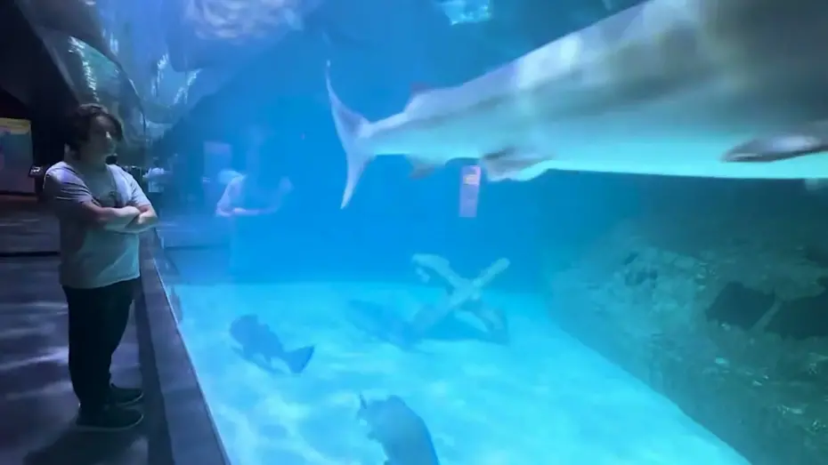 Watch film A Summer Story | A Summer Story trailer