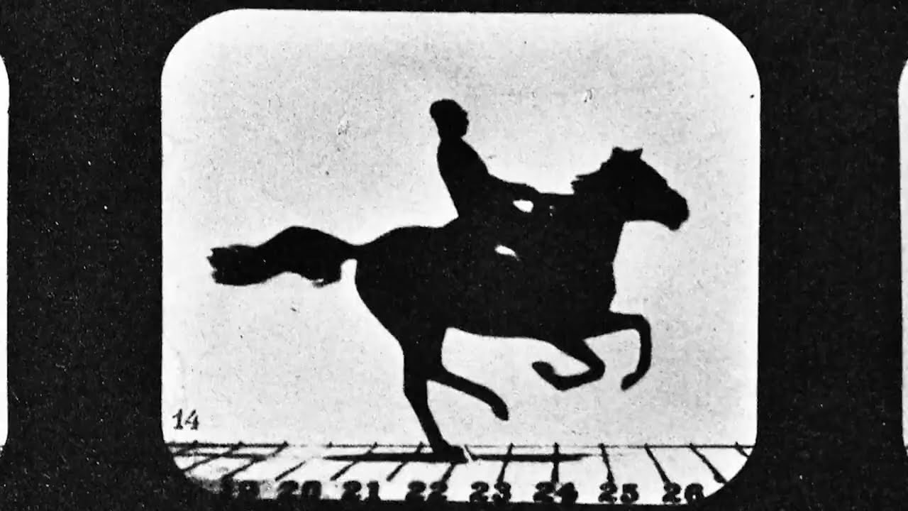 Watch film And the King Said, What a Fantastic Machine | Official UK Trailer [Dubbed]