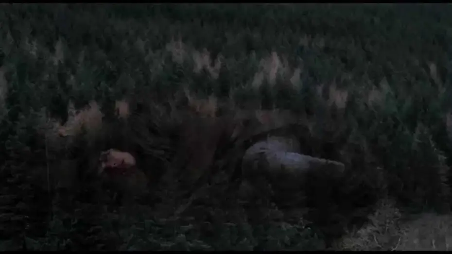Watch film Under the Skin | UNDER THE SKIN - Bande Annonce VOST
