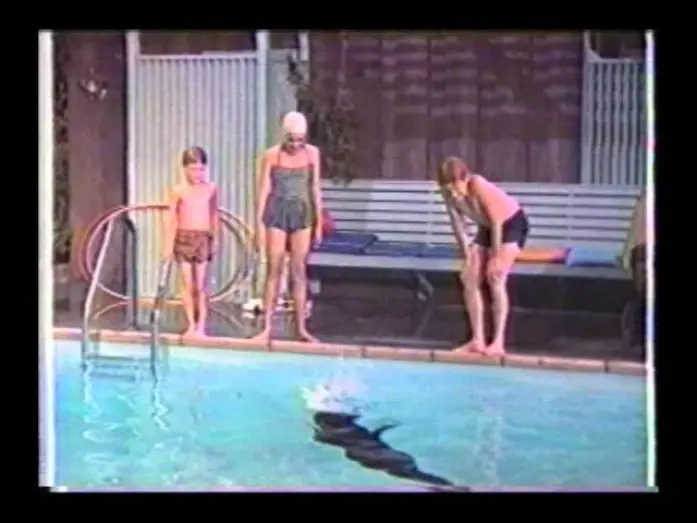 Watch film Sammy, the Way-Out Seal | Sammy the Way-Out Seal trailer.wmv