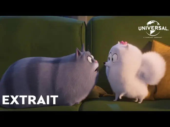 Watch film The Secret Life of Pets 2 | Comme des B&ecirc;tes 2 - Extrait : "Gidget remarque quelque chose" VF