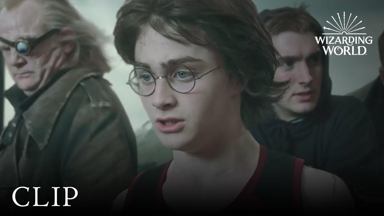 Watch film Harry Potter and the Order of the Phoenix | Harry's Gillyweed Transformation | Harry Potter and the Goblet of Fire