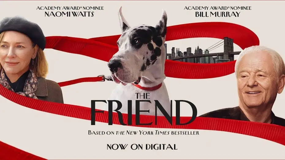 Watch film The Friend | Review