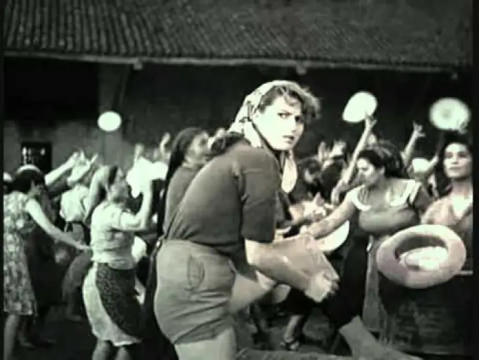 Watch film Bitter Rice | Mondine   Women ricefield workers  Riso Amaro