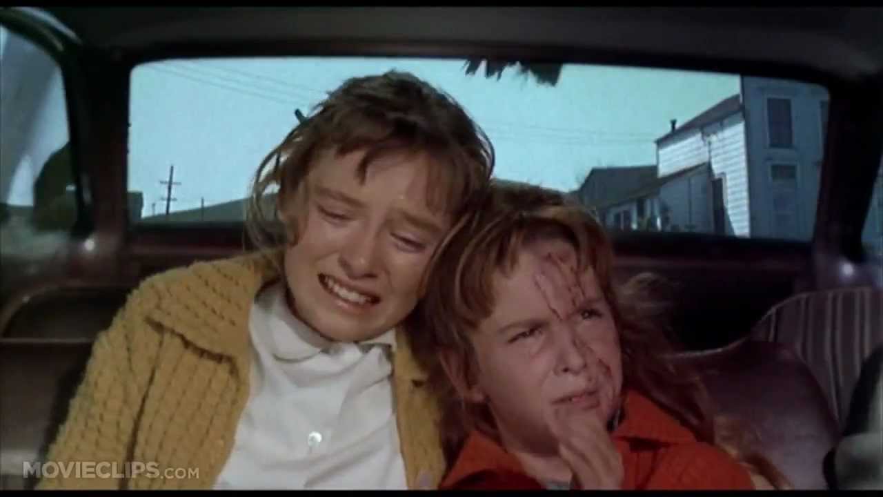 Watch film The Birds | The Birds (1963) - 100th Anniversary Classic Moments [HD]