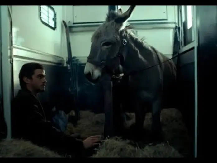 Watch film EO | Clip