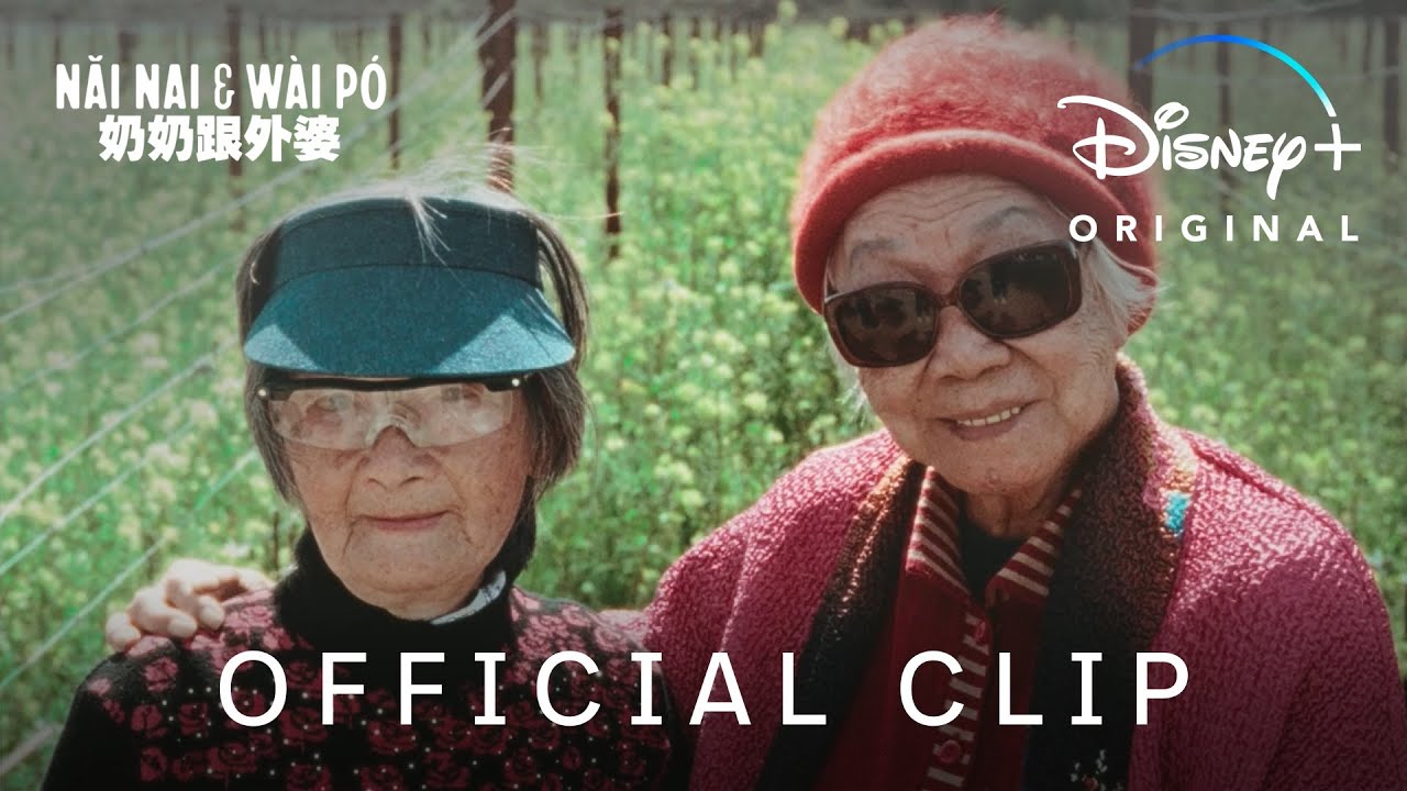 Watch film Nǎi Nai & W&agrave;i P&oacute; | Meet the Grannies [Subtitled]