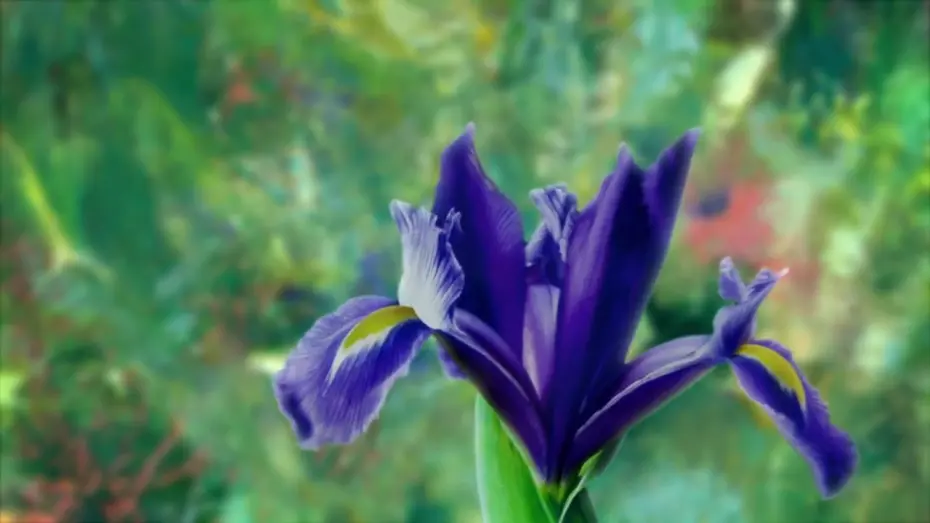 Watch film Painting the Modern Garden: Monet to Matisse | Watch the trailer for 'Painting the Modern Garden: Monet to Matisse'