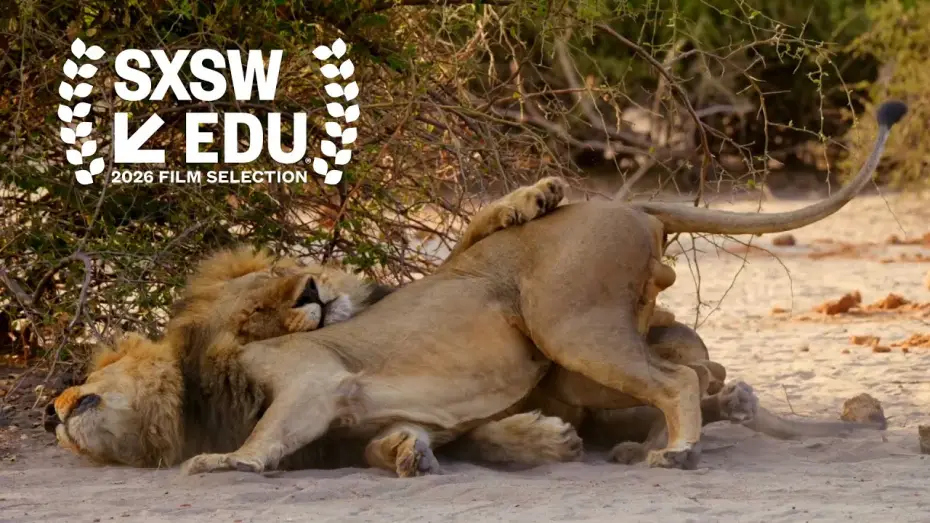Watch film Second Nature | Second Nature - Official Trailer