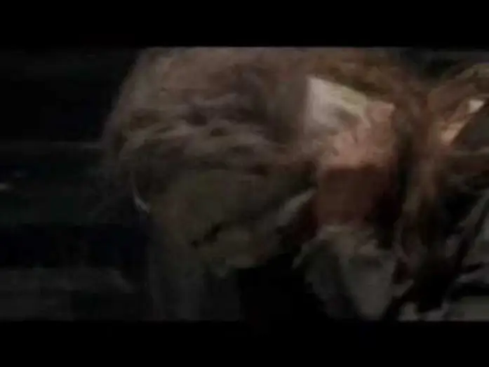 Watch film Halloween | Halloween 2007 Trailer German High Qualit&auml;t