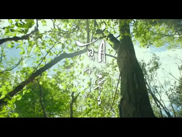 Watch film True Mothers | #BIFF2020 Gala Presentation - True Mothers / 갈라 프레젠테이션 - 트루 마더스