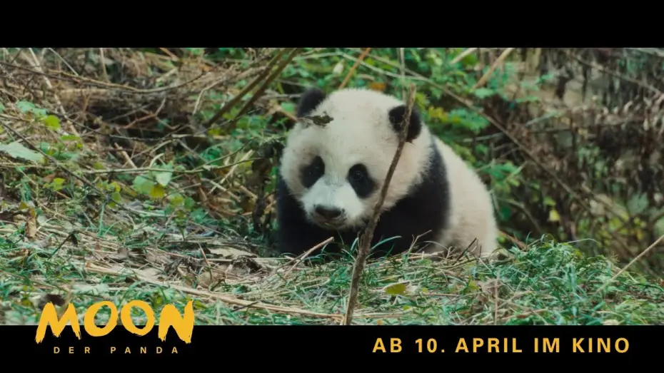 Watch film Moon the Panda — Moon, der Panda | Exklusiv: Die 1. Minute des Films | Ab 10. April im Kino