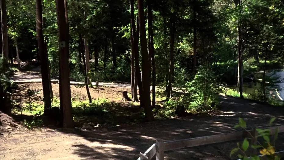 Watch film The Incredible Journey | Невероятное путешествие (1963) - Трейлер