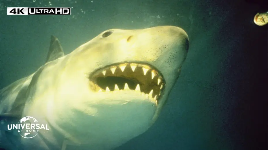 Watch film Jaws 3-D — Shark Strikes When Nobody Expects - Extended Preview