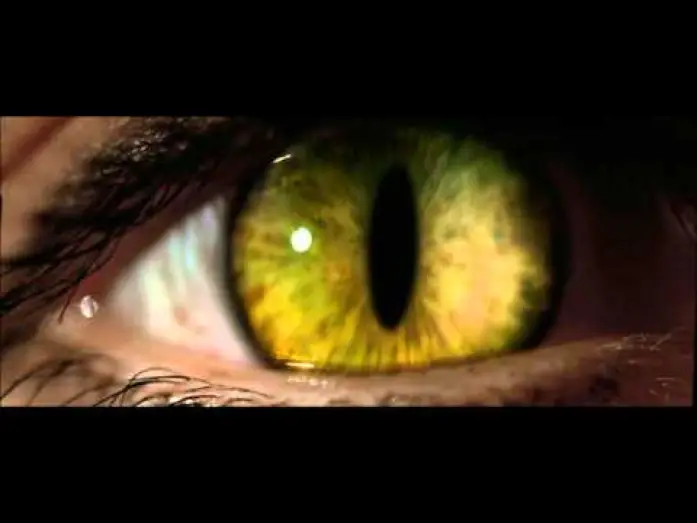 Watch film Catwoman | catwoman trailer ita