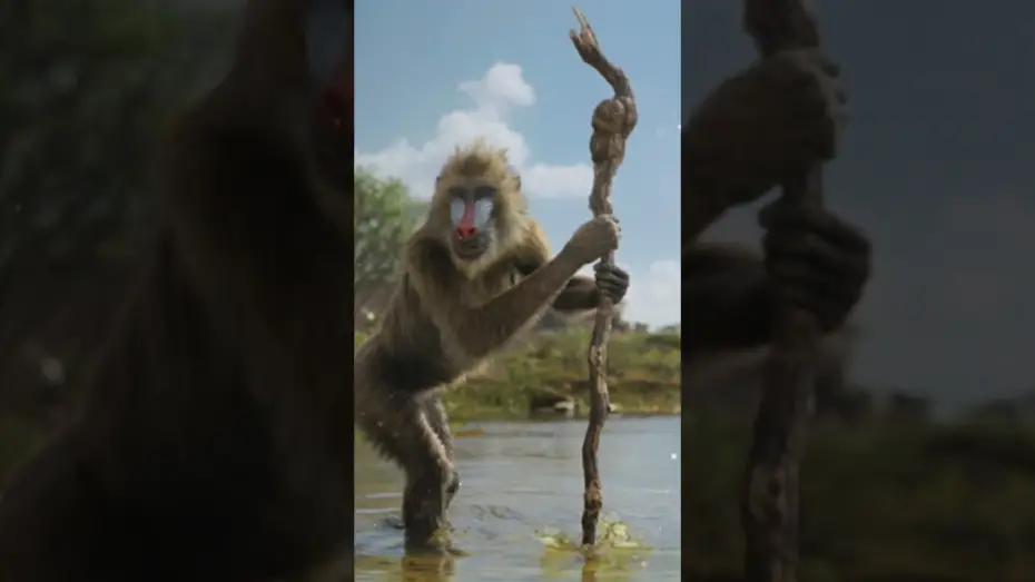 Watch film Mufasa: The Lion King | Be the First to Watch at Home Today