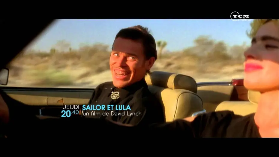 Watch film Wild at Heart — SAILOR ET LULA