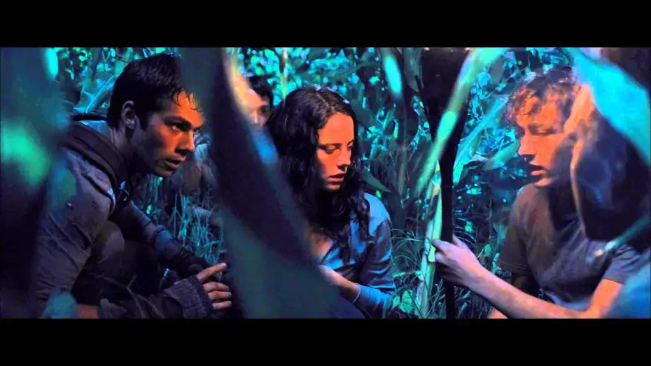 Watch film The Maze Runner | Le Labyrinthe - Extrait Attaque nocturne [Officiel] VF HD