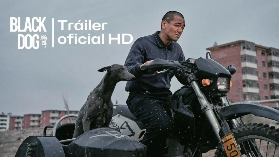 Watch film Black Dog | BLACK DOG (2024) 🇨🇳 Tr&aacute;iler oficial espa&ntilde;ol (HD) #trailer #estreno #blackdog #cinechino
