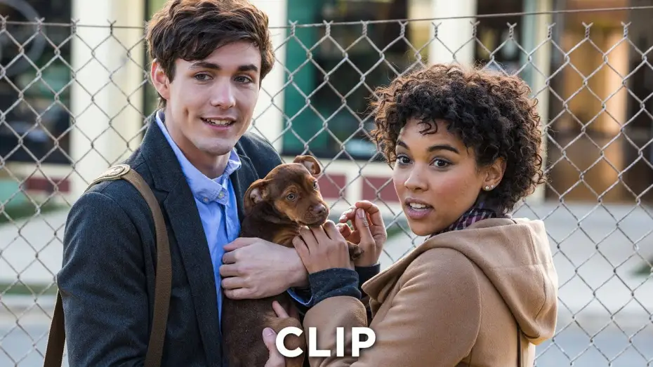 Watch film A Dog's Way Home | DIE UNGLAUBLICHEN ABENTEUER VON BELLA - Clip "Neue Freunde" - Ab 24.1.19 im Kino!