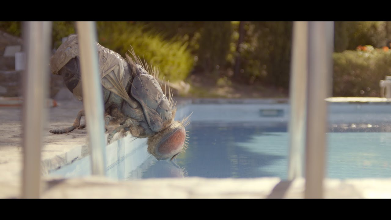 Watch film Mandibles | &laquo;Жвалы&raquo; &ndash; трейлер с субтитрами&ndash; с 24 июня в кино