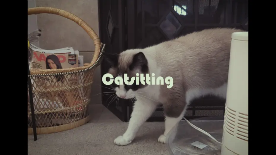 Watch film Catsitting — Catsitting: A Found Footage Horror