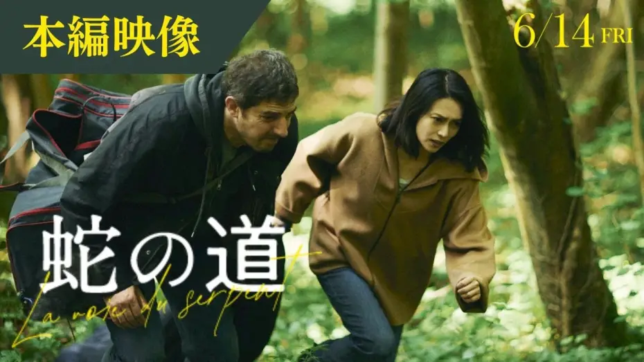 Watch film Serpent's Path | 【本編映像】映画『蛇の道』森の中を駆ける二人【6月14日(金)公開】