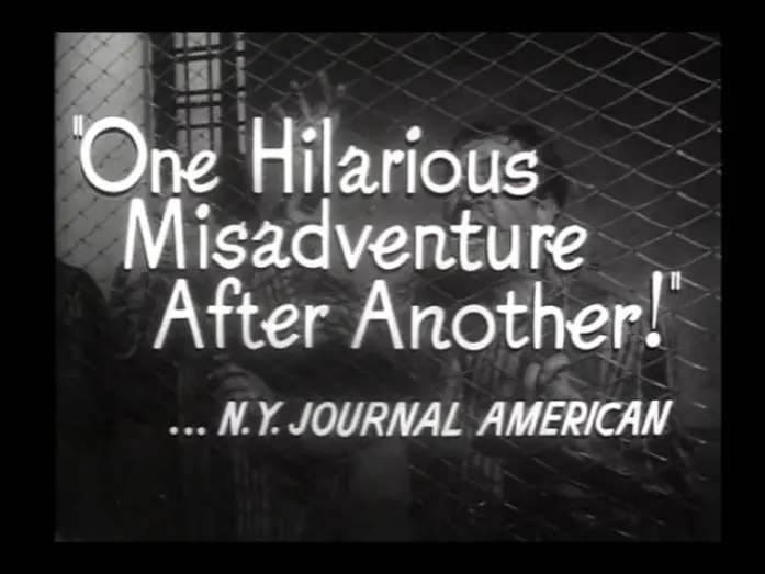Watch film Big Deal on Madonna Street | Big Deal On Madonna Street