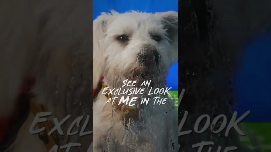 Watch film Supergirl | Tomorrow is the big day 🐾 Catch Krypto in Puppy Bowl