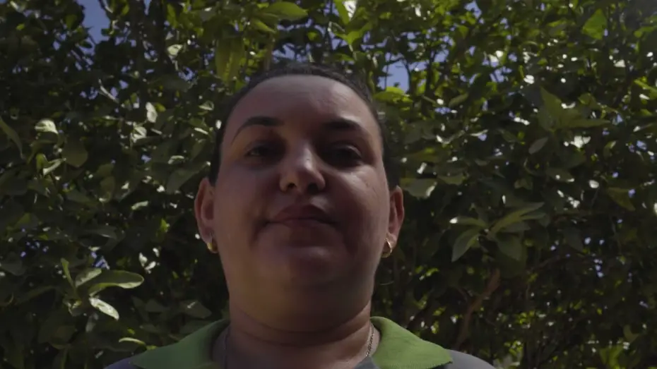 Watch film O Ponto do Mel | TRAILER - O PONTO DO MEL