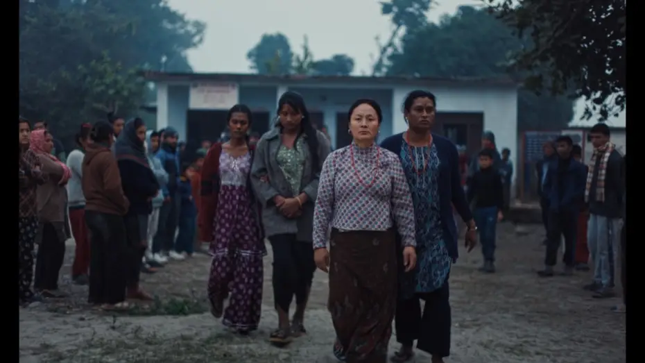 Watch film Elephants in the Fog | Official Trailer