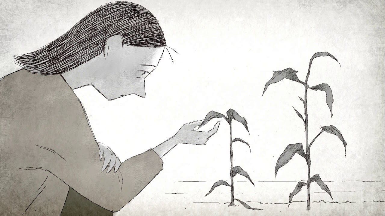 Watch film If Anything Happens I Love You | FFF 2020 - Trailer - If Anything Happens I Love You