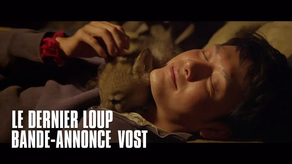 Watch film Wolf Totem | Le dernier loup - bande-annonce VOST