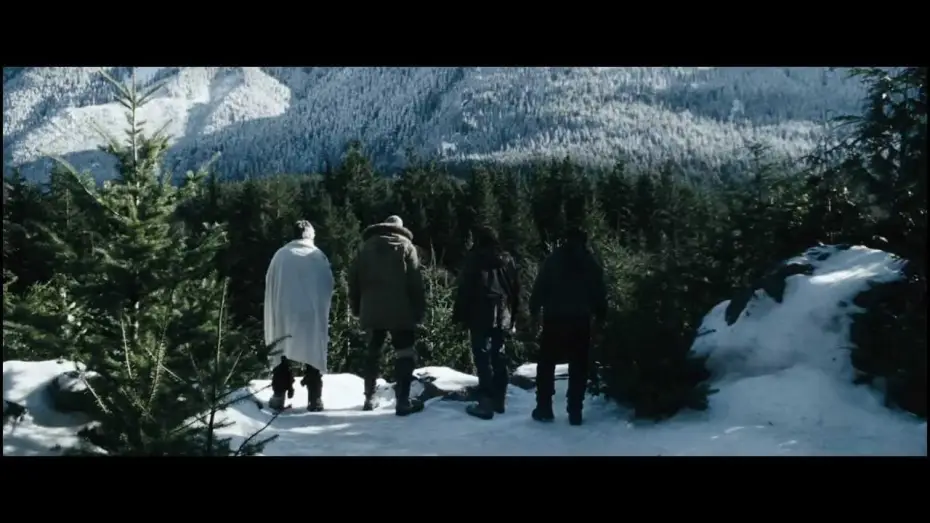 Watch film The Grey | The Grey - Trailer italiano - ufficiale