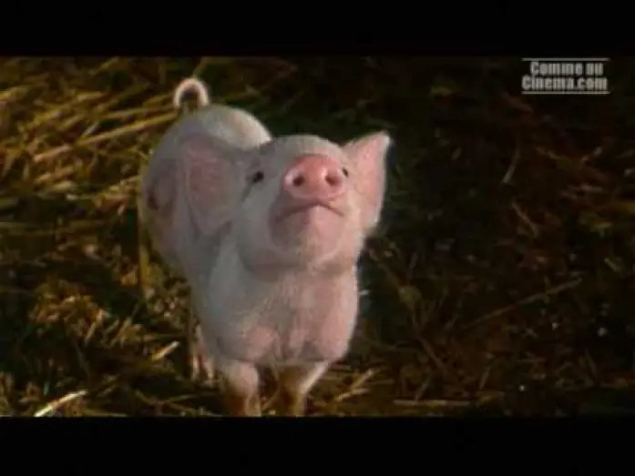 Watch film Charlotte's Web — Le Petit Monde de Charlotte - Bande Annonce [VF]