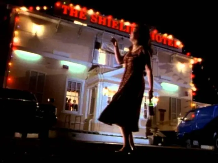 Watch film The Snapper | The Snapper - Trailer