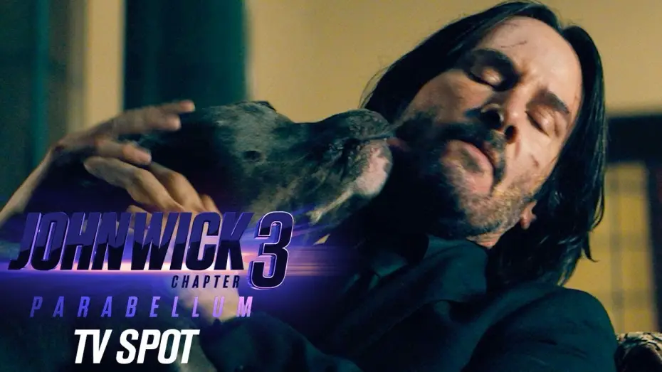 Watch film John Wick: Chapter 3 - Parabellum | Official TV Spot &ldquo;Dogs&rdquo;