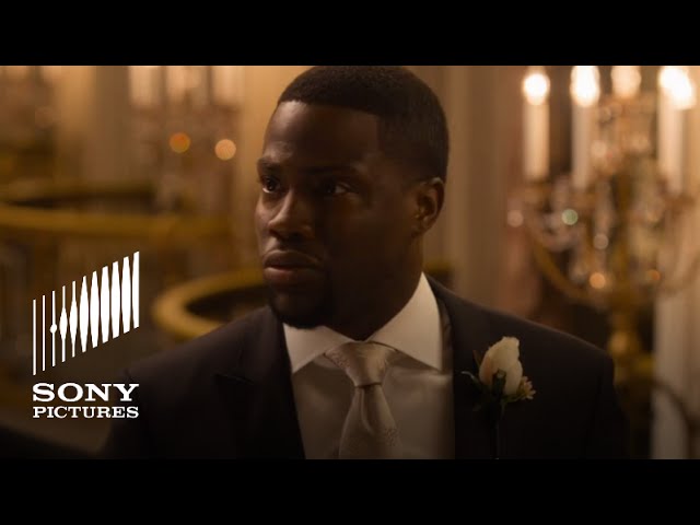 Watch film The Wedding Ringer | Watch The Wedding Ringer with a Fifty Shades Spin