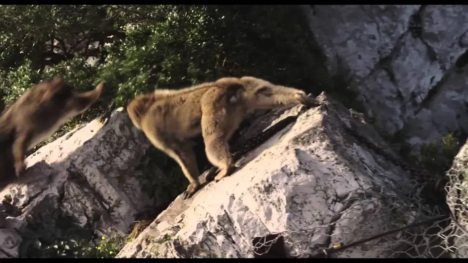 Watch film El nino | Official Trailer