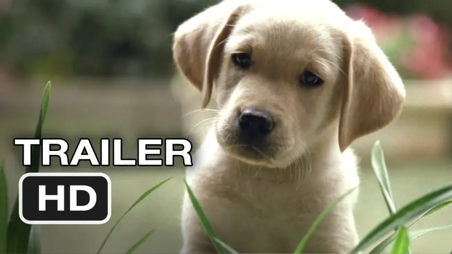 Watch film Quill: The Life of a Guide Dog | Quill The Life of a Guide Dog Official Trailer #1 (2012) HD Movie
