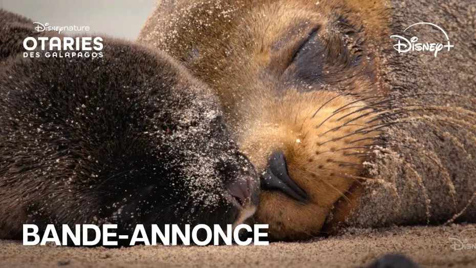 Watch film Sea Lions of the Galapagos | Otaries des Gal&aacute;pagos - Bande-annonce officielle [VOST]