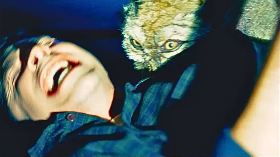 Watch film Coyotes | Get Off Him