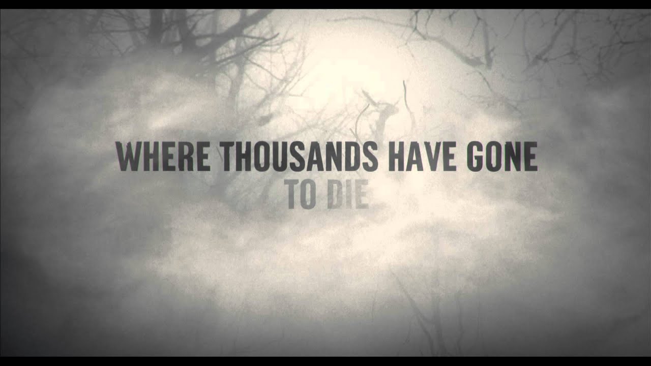 Watch film The Forest | The Forest - Trailer