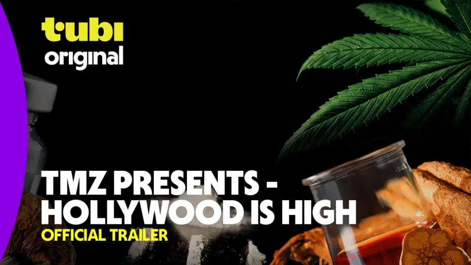 Watch film TMZ Presents: Hollywood is High | TMZ Presents - Hollywood is High | Official Trailer | A Tubi Original