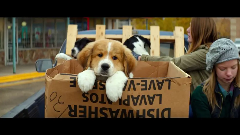 Watch film A Dog's Purpose | BAILEY &ndash; EIN FREUND F&Uuml;RS LEBEN - offizieller Teaser