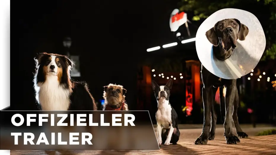 Watch film Strays — Offizieller Trailer #2