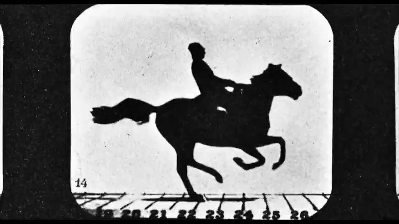 Watch film And the King Said, What a Fantastic Machine | Official Trailer (AU)