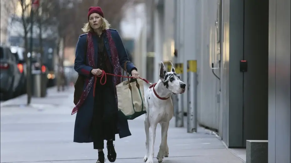 Watch film The Friend | L'Amico Fedele | Trailer Ufficiale