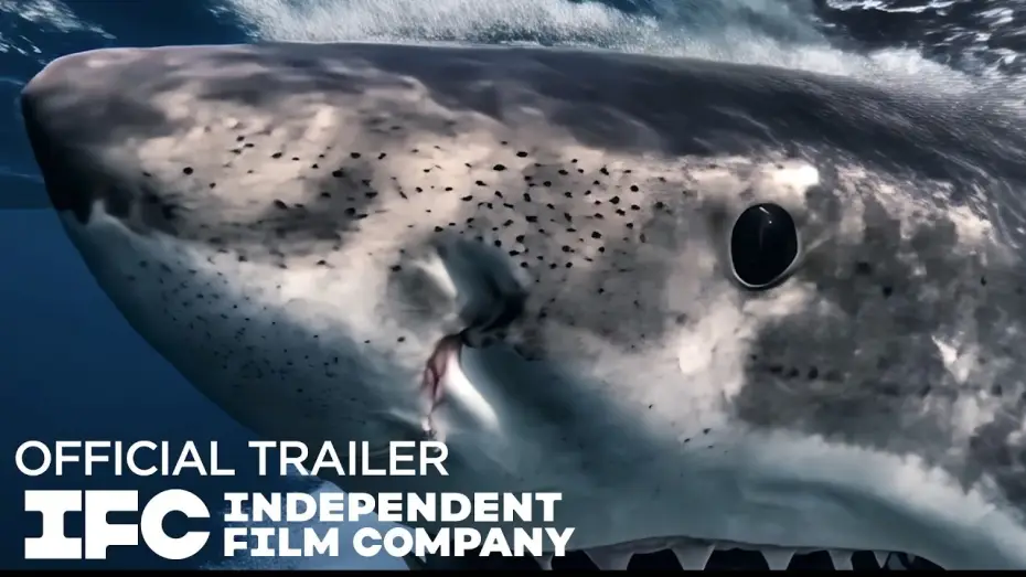 Watch film Chum — Official Trailer